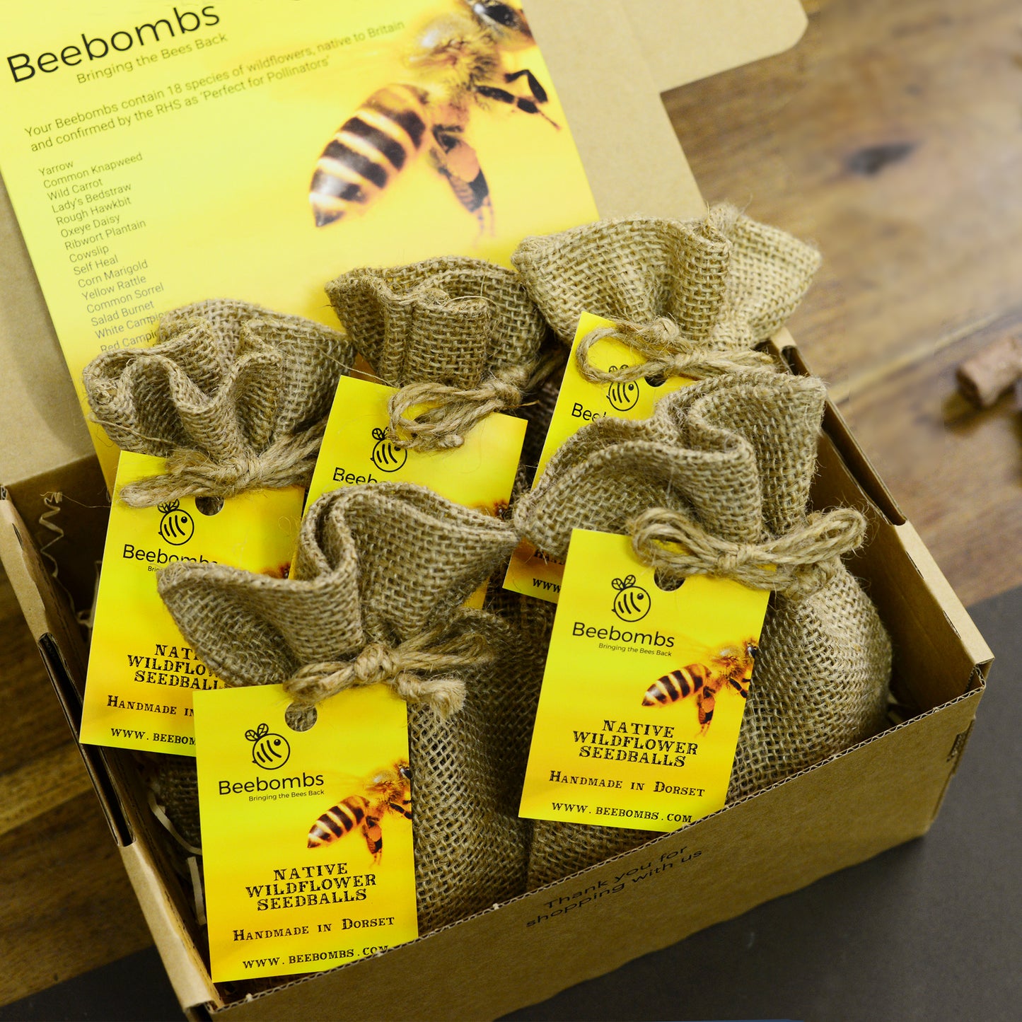 Beebomb wildflower seedballs