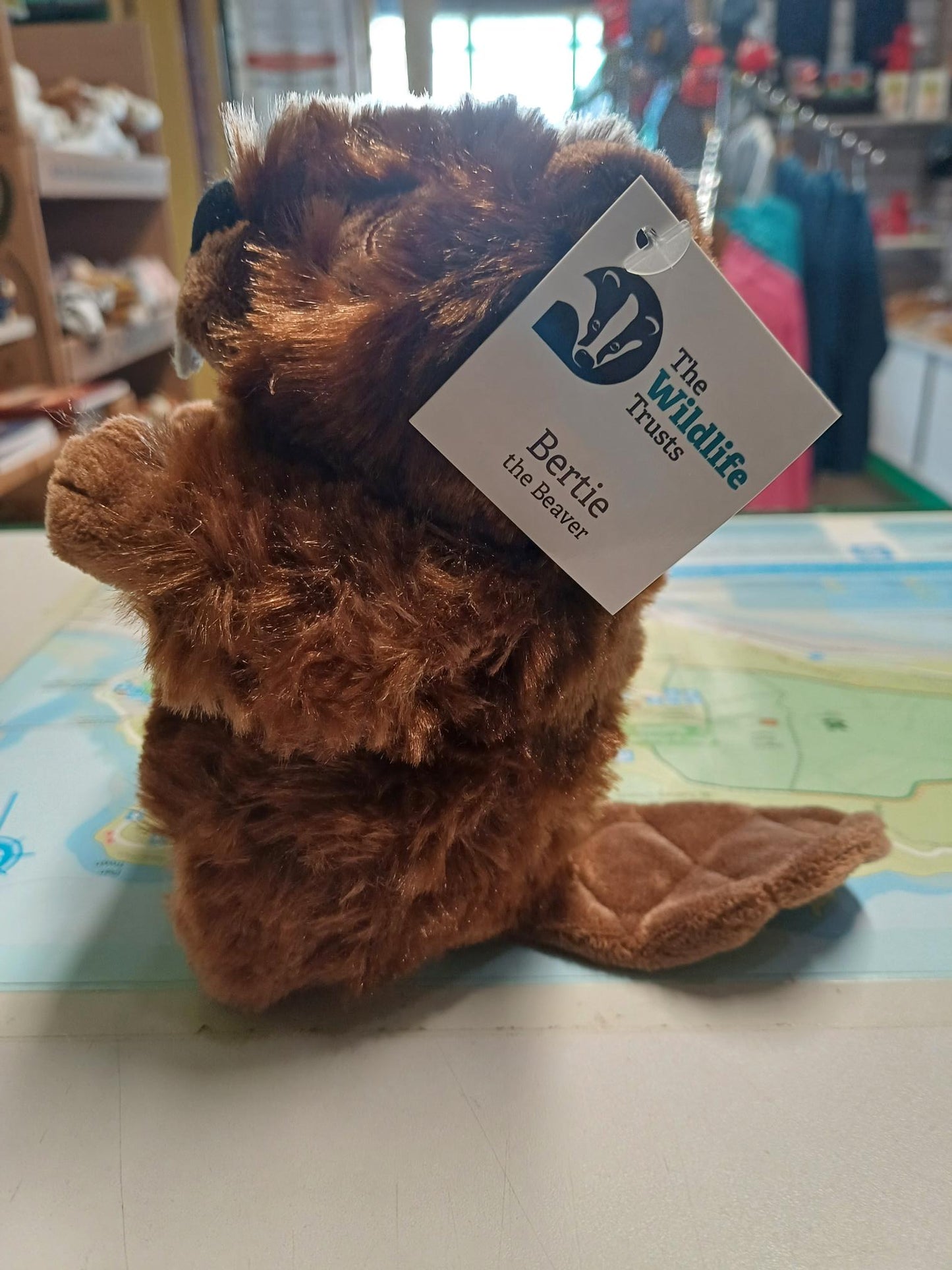 Bertie the Beaver soft toy - 15cm