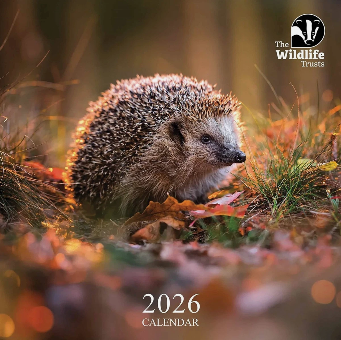 The Wildlife Trusts 2026 calendar