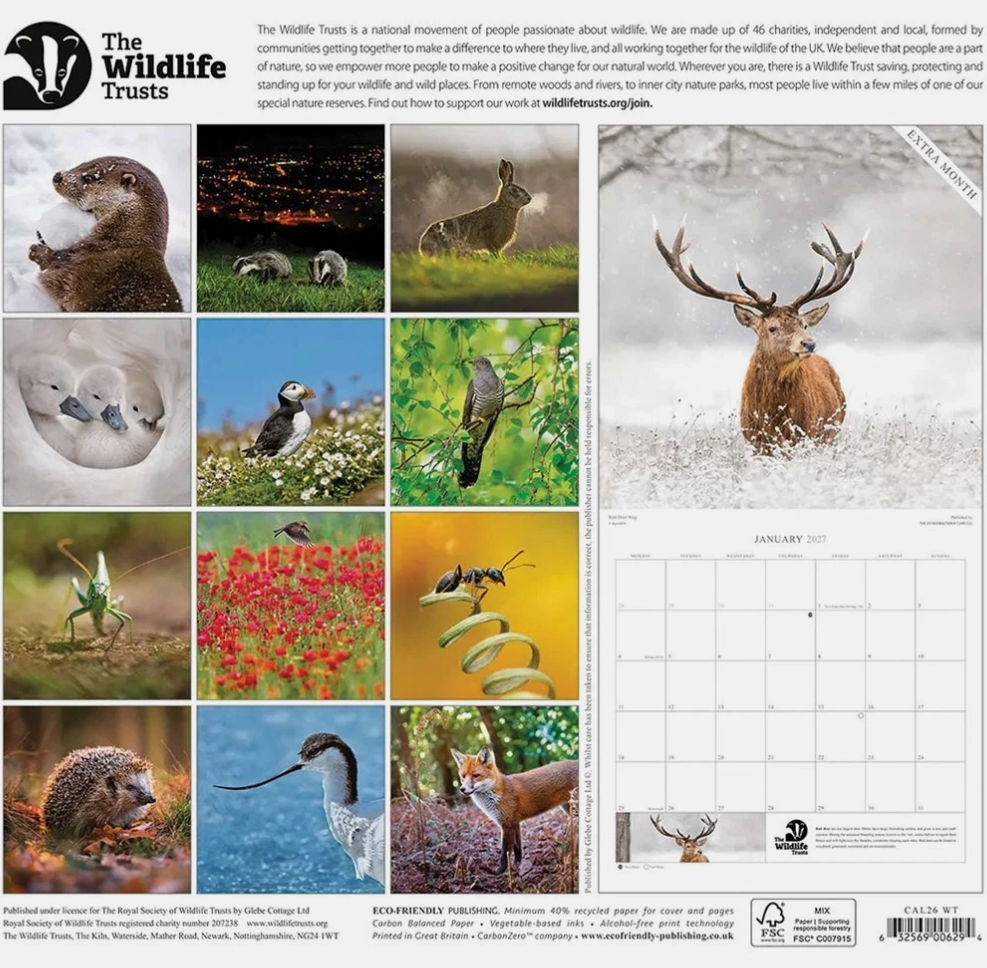 The Wildlife Trusts 2026 calendar