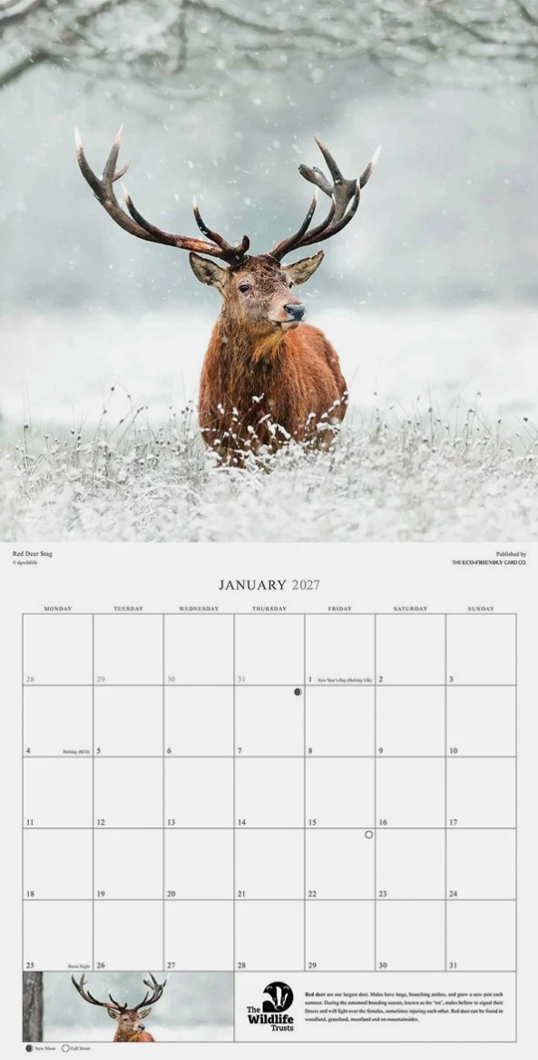 The Wildlife Trusts 2026 calendar
