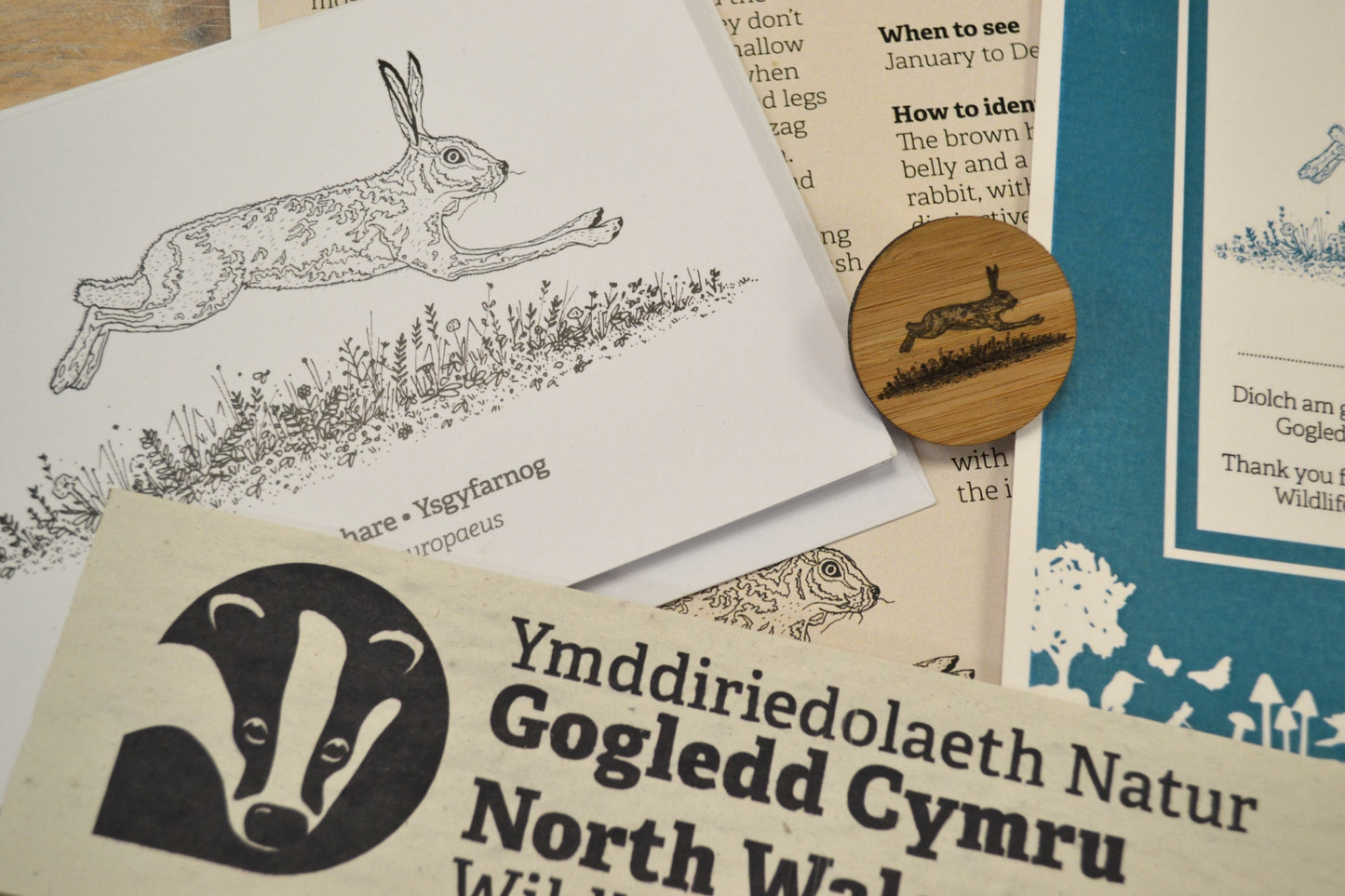 Sponsor a brown hare