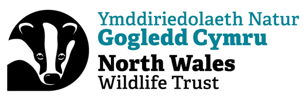 North Wales Wildlife Shop
