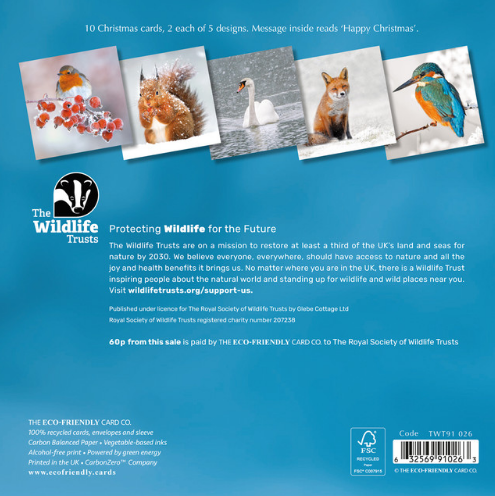 Wildlife Christmas Cards 153mm - 2025 design, mixed pack of 10