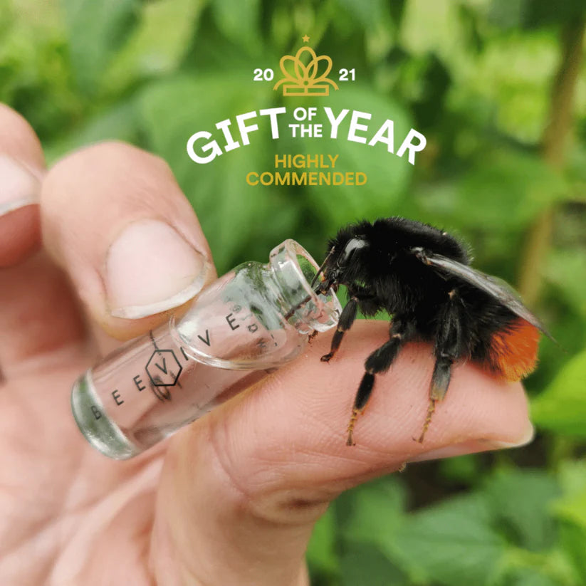 Beevive - the original Bee rivival kit (gold)