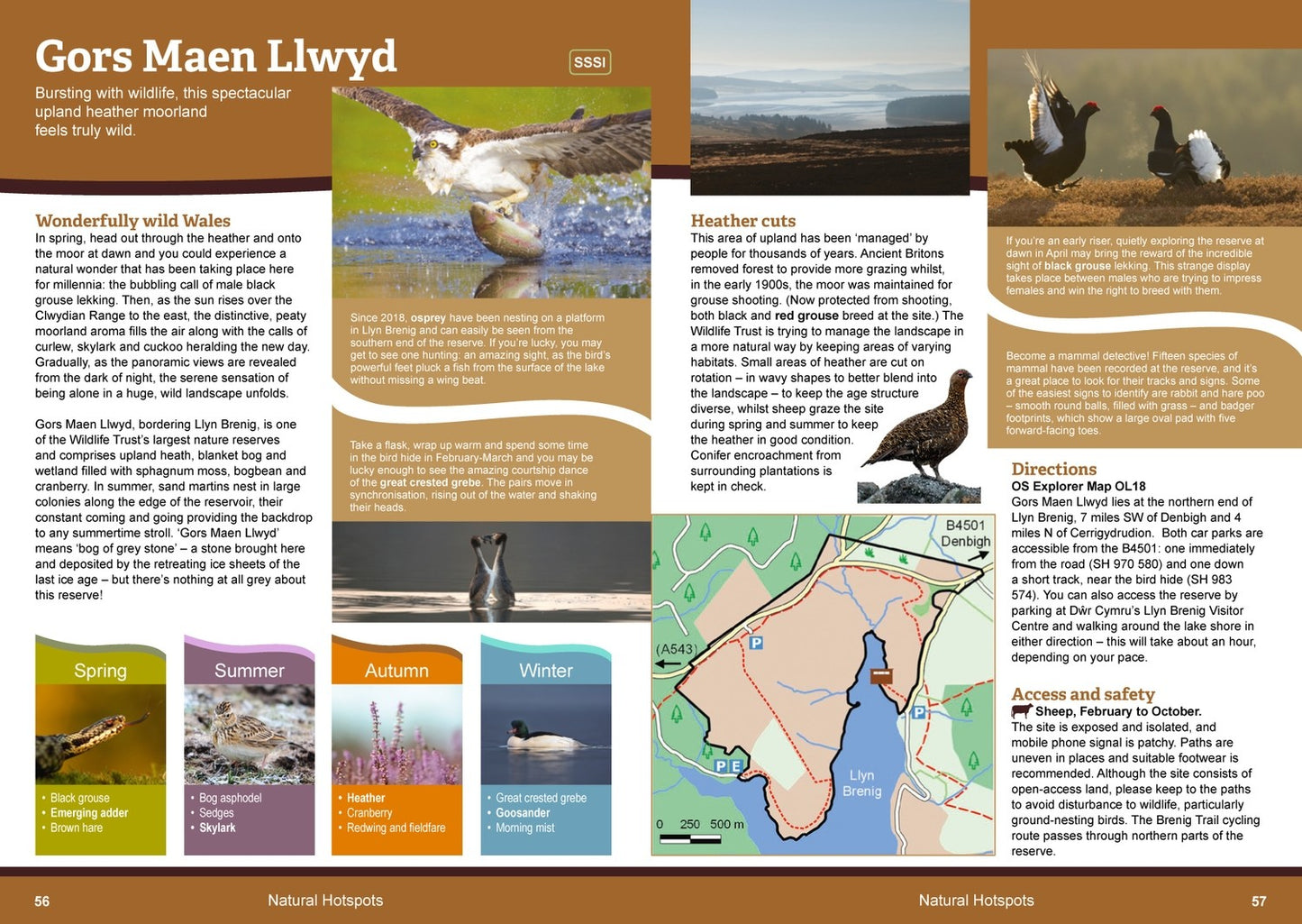 Wild Places to Explore/Llefydd gwyllt i'w darganfod - (English or Welsh version)