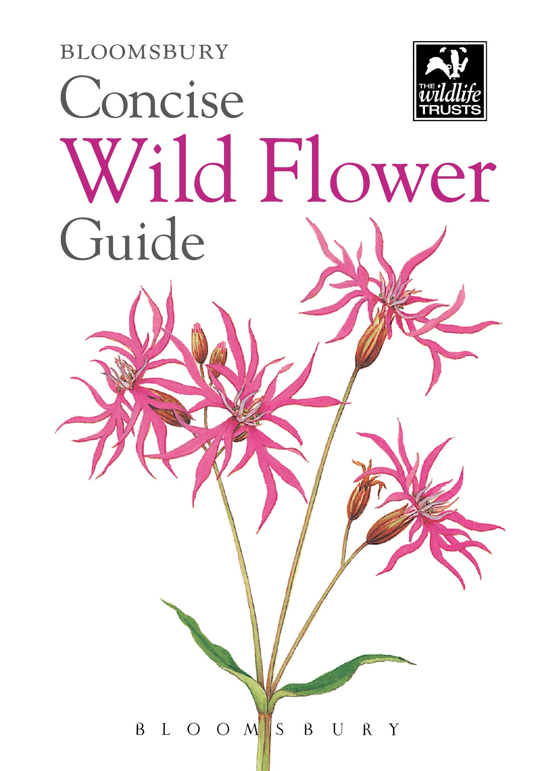Bloomsbury concise guide - wild flower