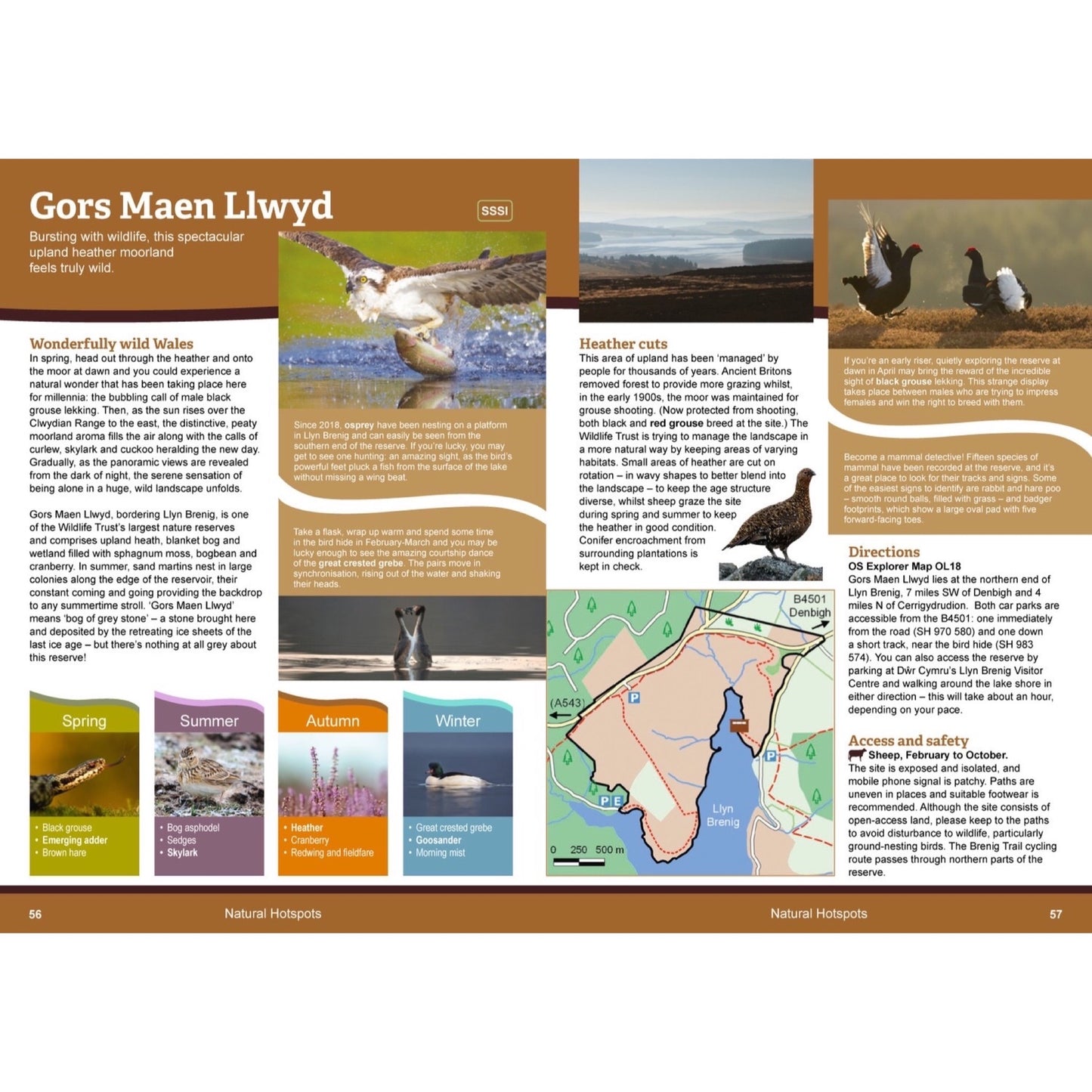 Wild Places to Explore/Llefydd gwyllt i'w darganfod - (English or Welsh version)