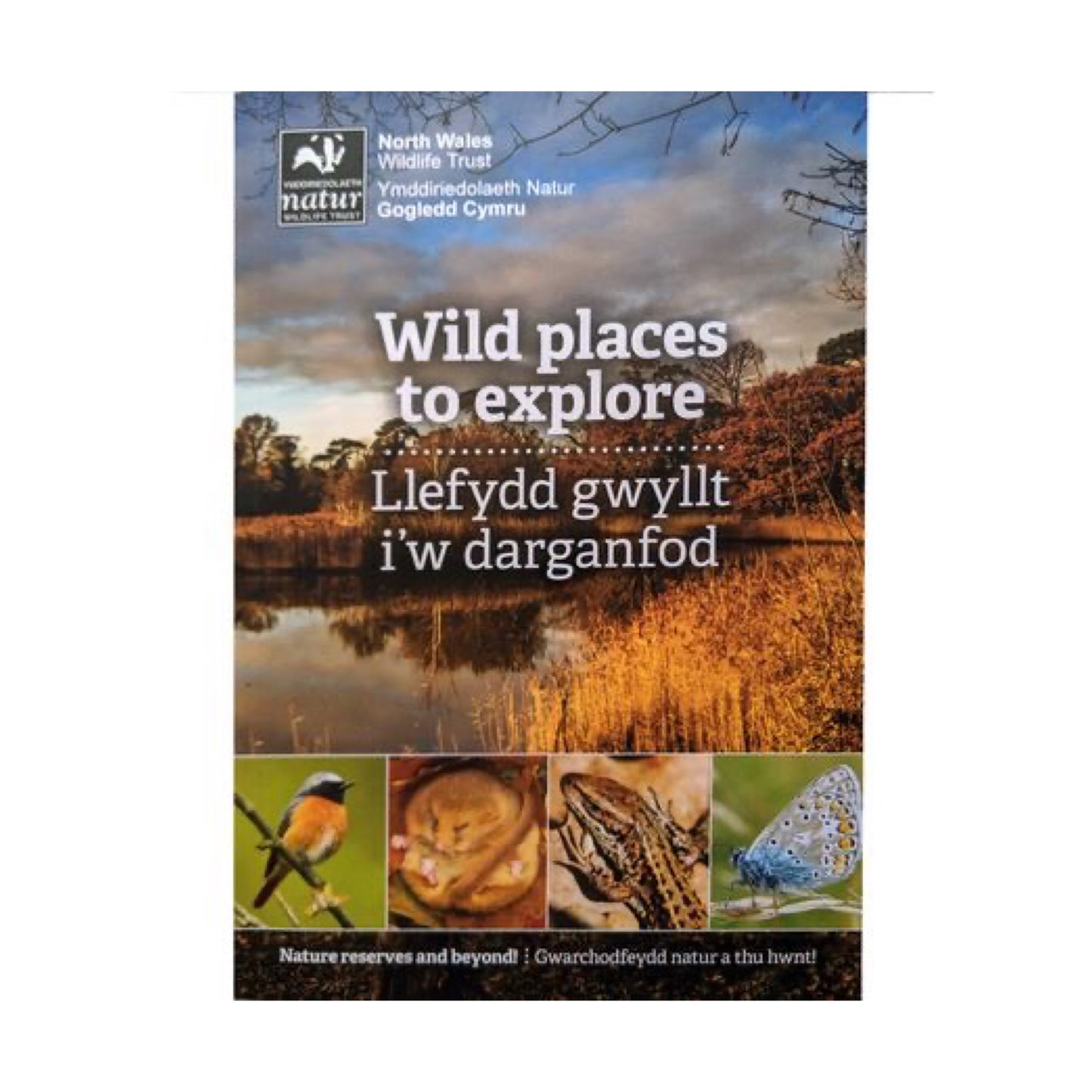 Wild Places to Explore/Llefydd gwyllt i'w darganfod - (English or Welsh version)