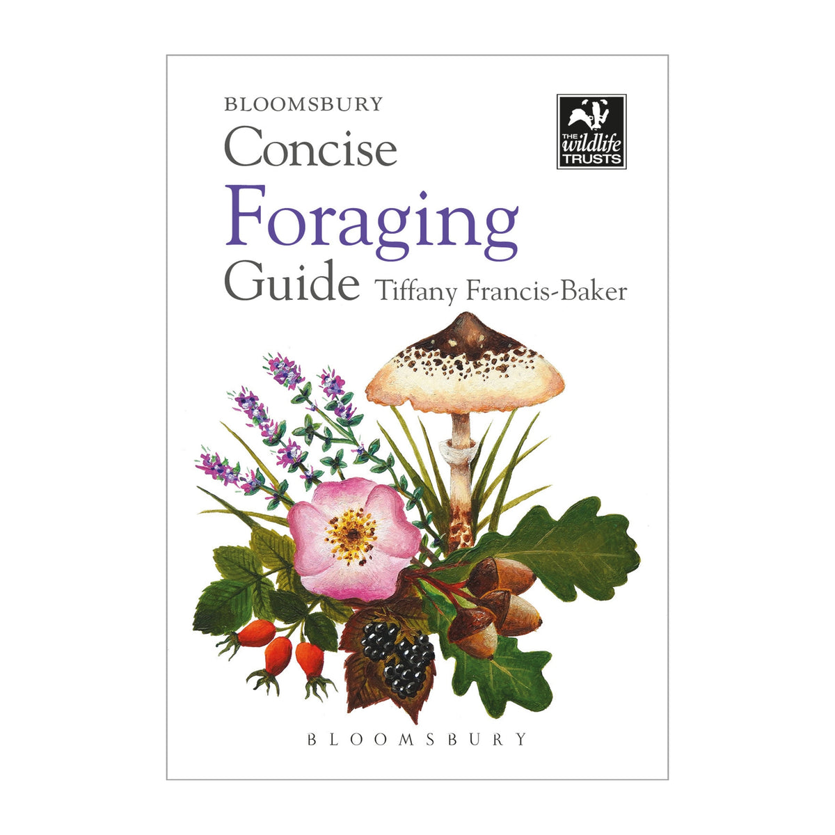 Books and guides