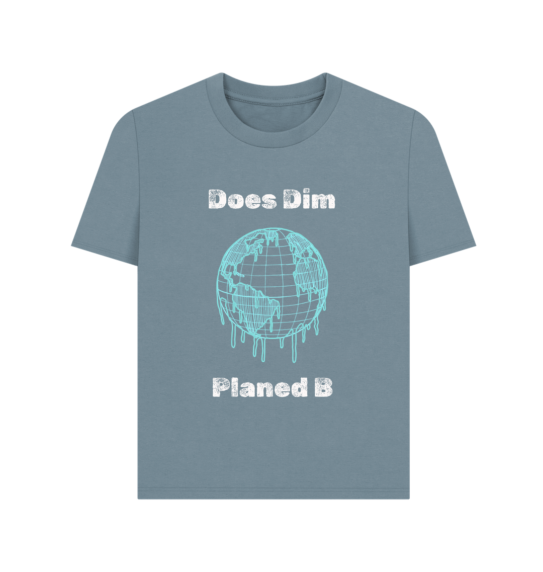 Stone Blue Printed T-shirt