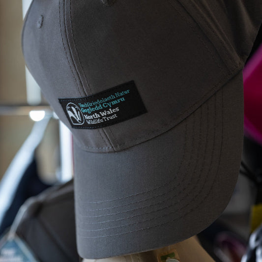 Gray cap with a logo on the front, hanging indoors.