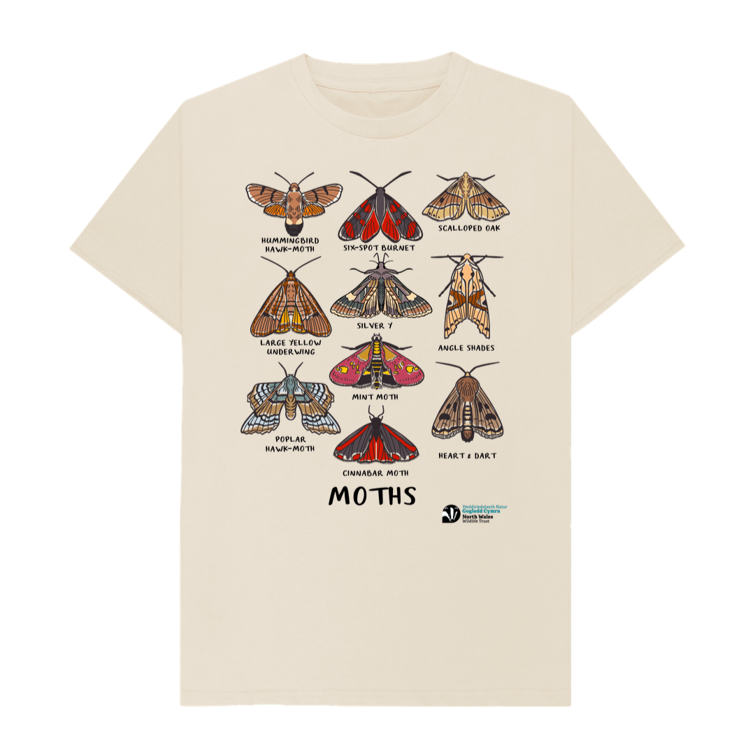 Oat Moths T-shirt (Women)