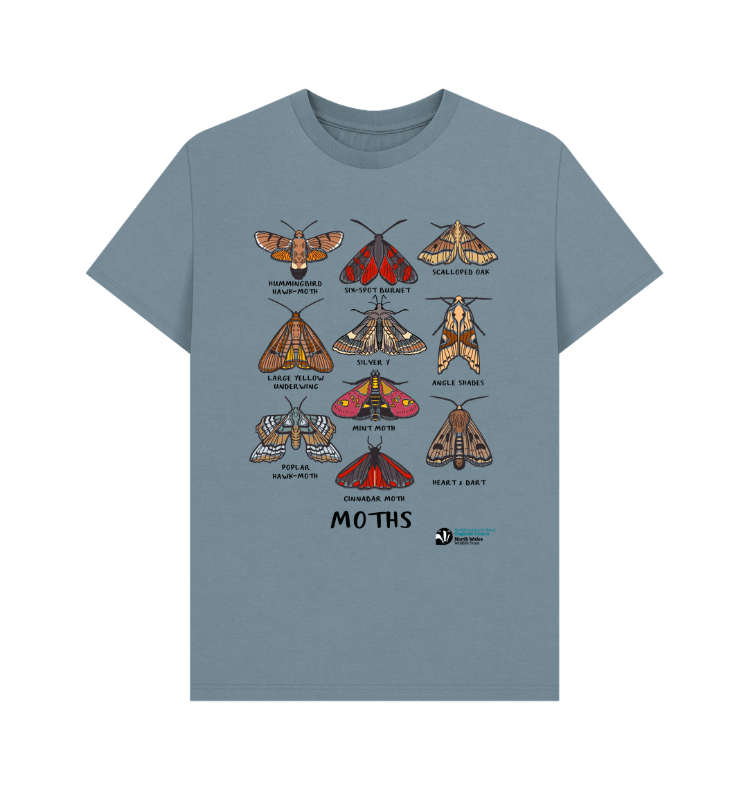 Stone Blue Printed T-shirt Front