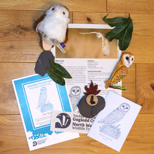 Sponsor a barn owl