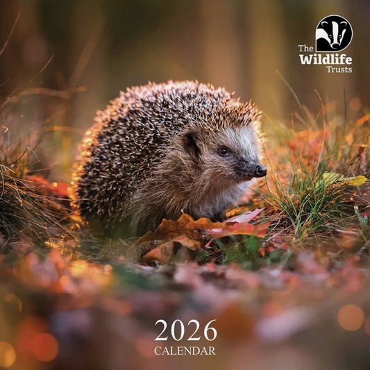 The Wildlife Trusts 2026 calendar