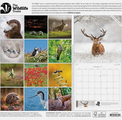 The Wildlife Trusts 2026 calendar