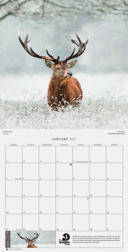The Wildlife Trusts 2026 calendar
