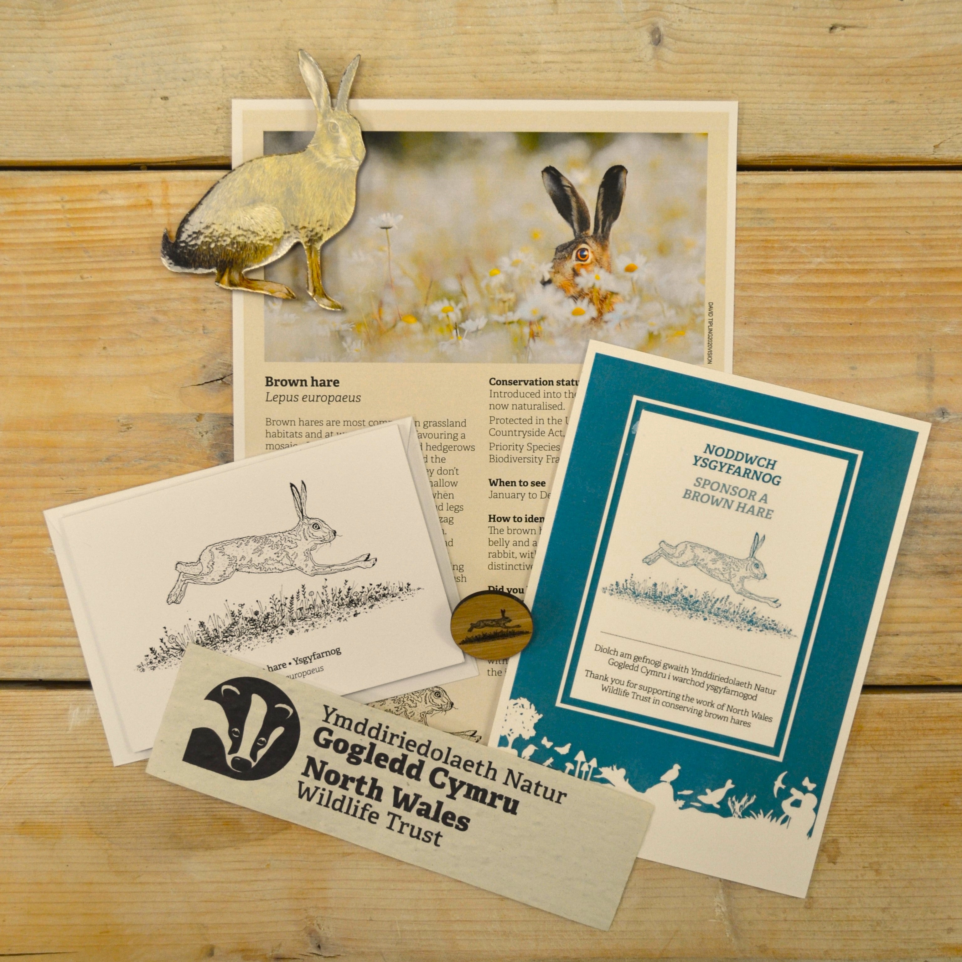 Hare Pack Sponsor a species – North Wales Wildlife Shop