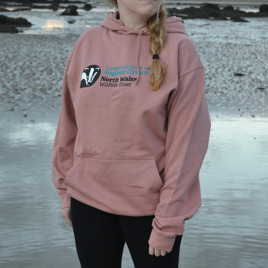 NWWT logo Hoodie (adults)