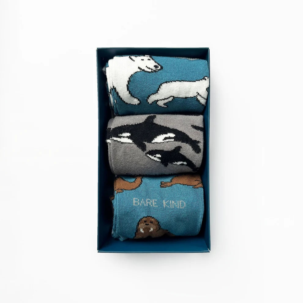 Bare Kind Arctic Animals Bamboo Socks Gift Box of 3
