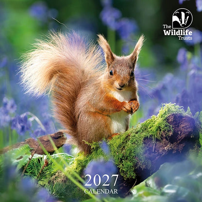 The Wildlife Trusts 2027 Calendar