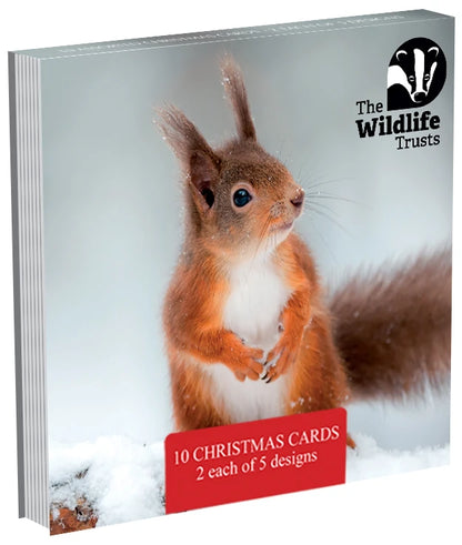 Mixed Photographic Christmas cards 120mm pack(TWT Christmas 6 packs of 10)