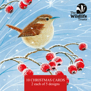 Wildlife Trusts official Christmas Card 153mm - 2025 design B, mixed pack of 10