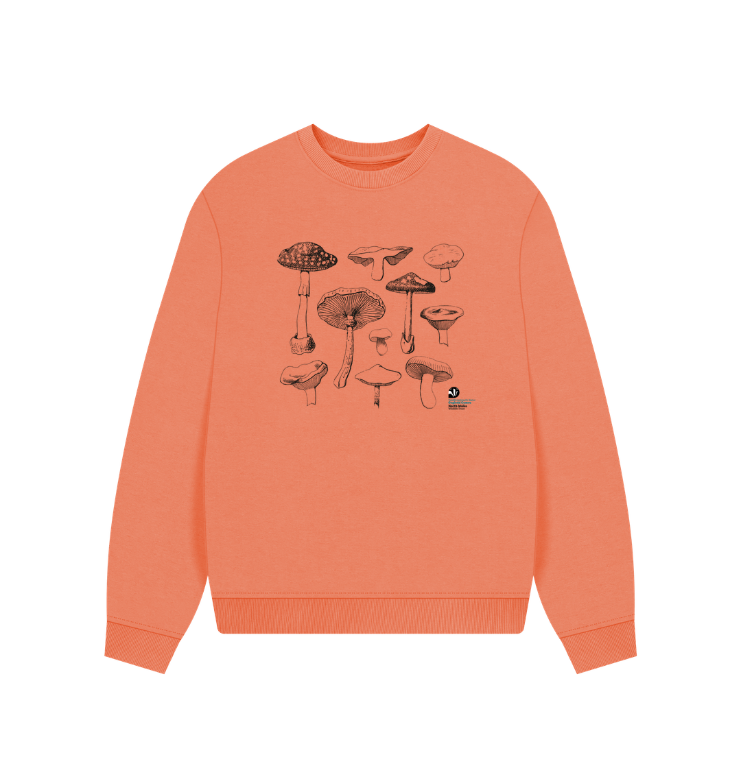 Apricot Mushroom Oversized Jumper (Women)