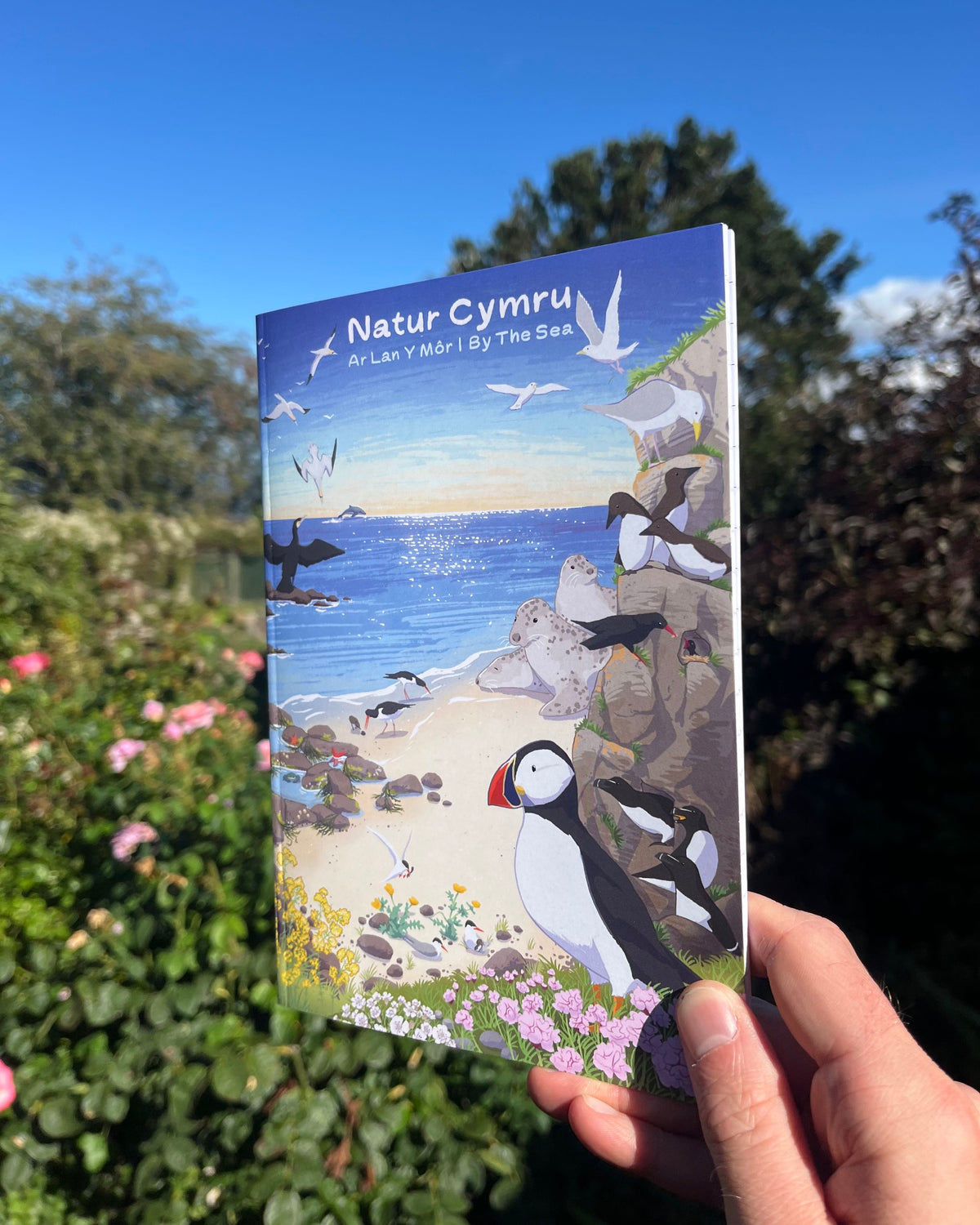 Ar Lan Y Môr | By The Sea Notebook