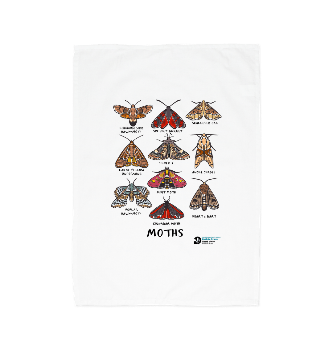 White Moths Tea Towel