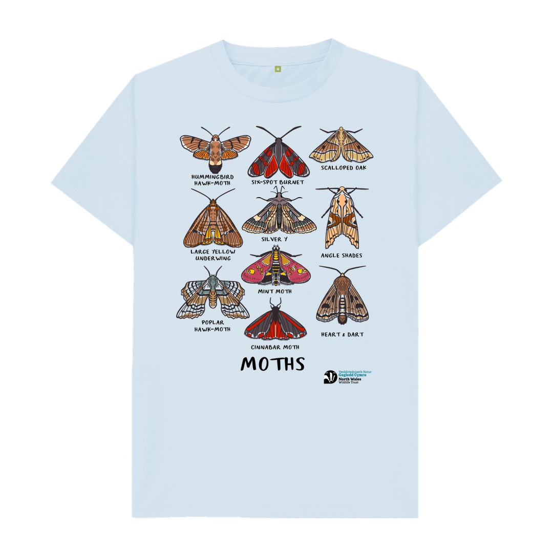 Sky Blue Moths T-shirt (Women)