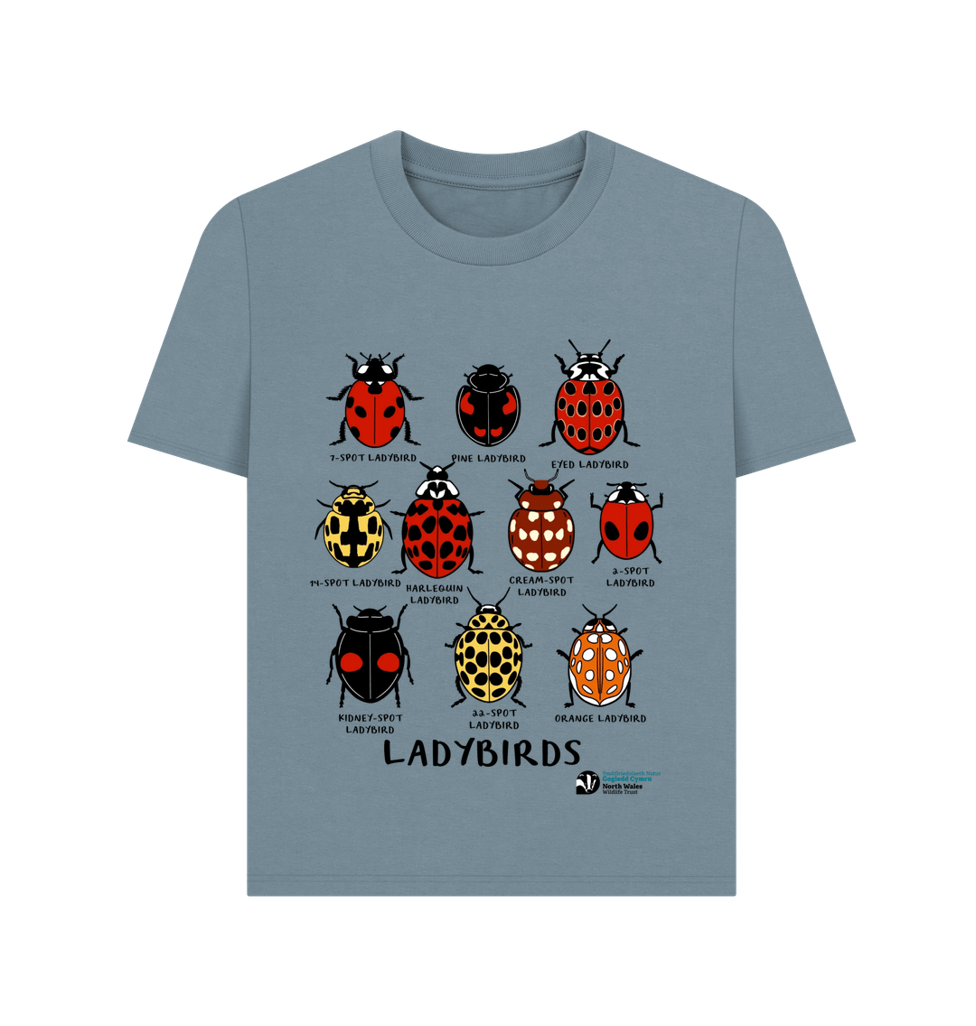 Stone Blue Printed T-shirt