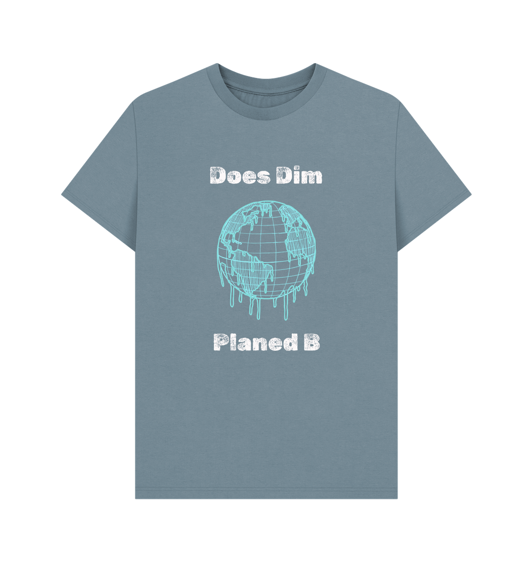 Stone Blue Printed T-shirt