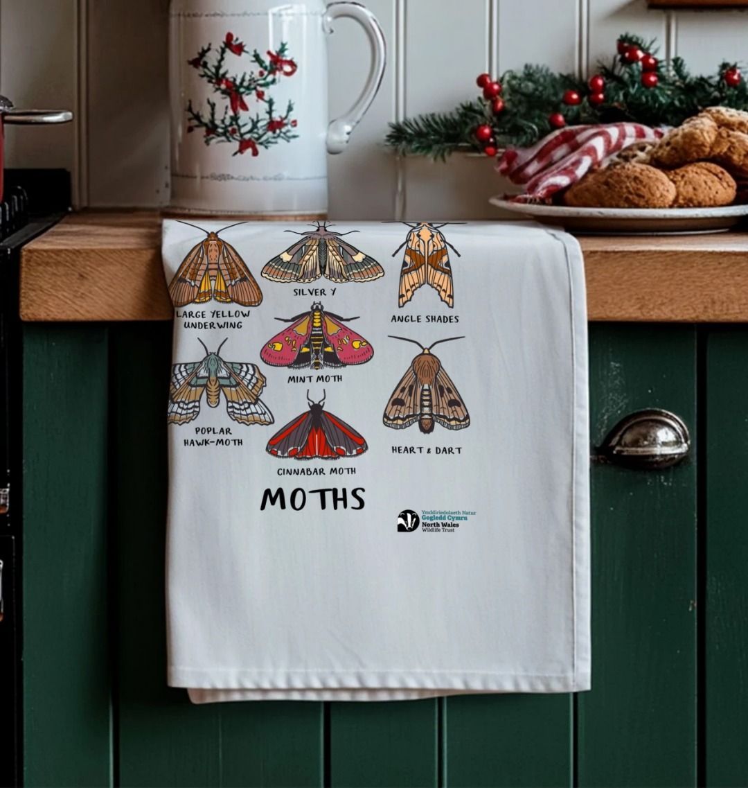 Moths Tea Towel