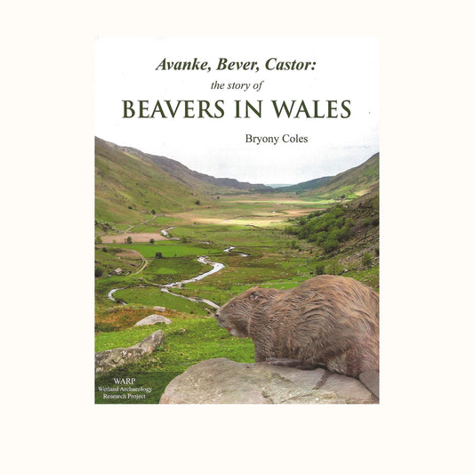 Beavers in Wales by Bryony Coles - NOW 50% OFF! (was £10.99)