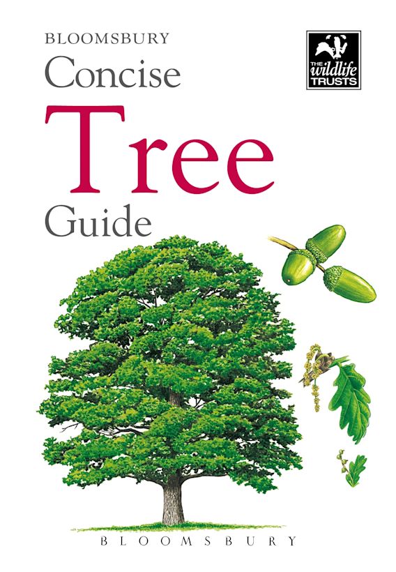 Quick Guide Tree Bloomsbury concise guide - Tree – North Wales Wildlife Shop